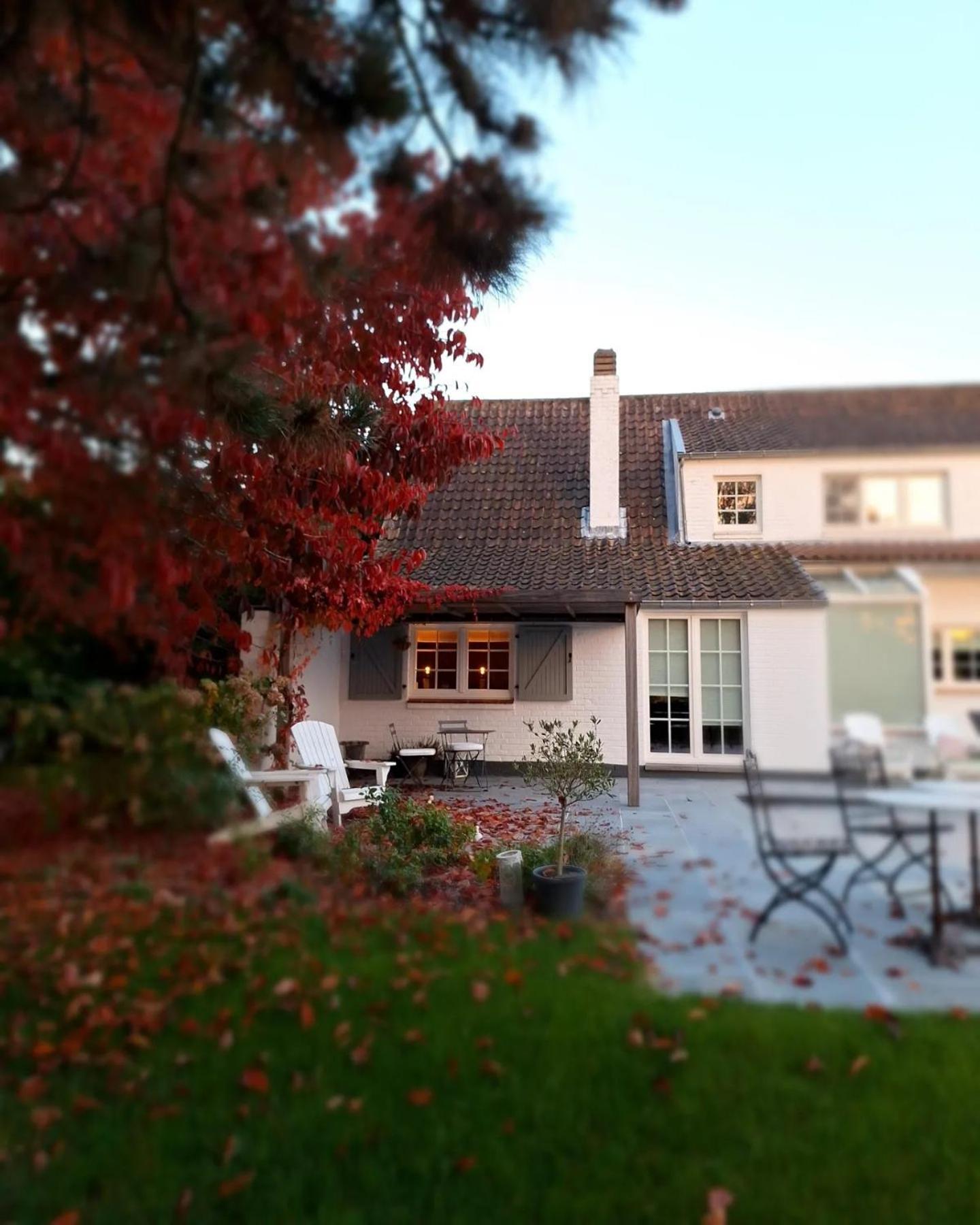 Au Clos d'Amande Lasne Exterior foto